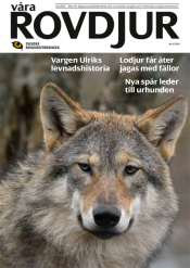 Våra Rovdjur Tidning