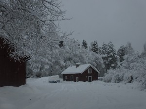 019