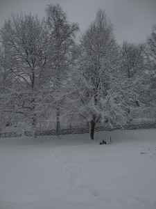 054