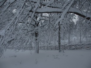 Gärdsgård på Skogsborgs kyrkogår