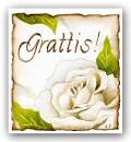 Grattis med vit ros