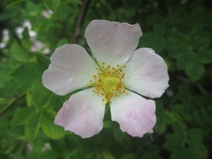 059