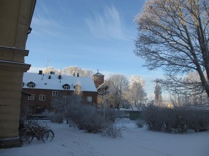 061