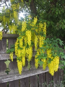 054