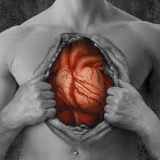 Hjärtat i kroppen