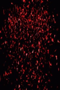 Krossade bitar av hjärta