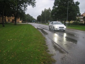 IMG_8884 (2)